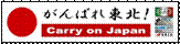 carry_on_japan.jpg